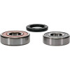 Pivot Works Honda Wheel Bearing Kit Premium Bearings - 25-1237-P Photo - Primary