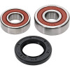 Pivot Works Suzuki, Yamaha Wheel Bearing Kit Premium Bearings - 25-1244-P Photo - Primary