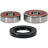 Pivot Works Suzuki, Yamaha Wheel Bearing Kit Premium Bearings - 25-1244-P Photo - Primary