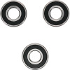 Pivot Works Honda, Suzuki Wheel Bearing Kit Premium Bearings - 25-1251-P Photo - Primary