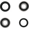 Pivot Works Kawasaki Wheel Bearing Kit Premium Bearings - 25-1253-P Photo - Primary