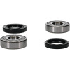 Pivot Works Kawasaki Wheel Bearing Kit Premium Bearings - 25-1253-P Photo - Primary