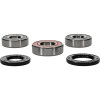 Pivot Works Suzuki Wheel Bearing Kit Premium Bearings - 25-1256-P Photo - Primary