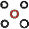 Pivot Works Suzuki Wheel Bearing Kit Premium Bearings - 25-1256-P Photo - Primary