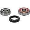 Pivot Works Honda Wheel Bearing Kit Premium Bearings - 25-1261-P Photo - Primary