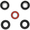 Pivot Works Suzuki Wheel Bearing Kit Premium Bearings - 25-1262-P Photo - Primary