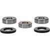 Pivot Works Suzuki Wheel Bearing Kit Premium Bearings - 25-1262-P Photo - Primary