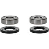 Pivot Works Honda, Suzuki Wheel Bearing Kit Premium Bearings - 25-1263-P Photo - Primary