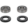 Pivot Works Honda, Suzuki Wheel Bearing Kit Premium Bearings - 25-1263-P Photo - Primary
