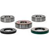 Pivot Works Yamaha Wheel Bearing Kit Premium Bearings - 25-1264-P Photo - Primary