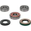 Pivot Works Yamaha Wheel Bearing Kit Premium Bearings - 25-1264-P Photo - Primary