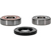 Pivot Works Honda Wheel Bearing Kit Premium Bearings - 25-1265-P Photo - Primary