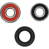Pivot Works Honda Wheel Bearing Kit Premium Bearings - 25-1265-P Photo - Primary
