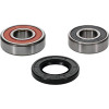 Pivot Works Honda Wheel Bearing Kit Premium Bearings - 25-1265-P Photo - Primary