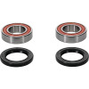Pivot Works BMW/Gas-Gas/Husaberg/Husqvarna/Kawasaki/KTM/Suzuki Wheel Bearing Kit Premium Bearings - 25-1273-P Photo - Primary