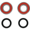 Pivot Works Cub Cadet, Kawasaki Wheel Bearing Kit Premium Bearings - 25-1274-P Photo - Primary