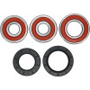 Pivot Works Kawasaki Wheel Bearing Kit Premium Bearings - 25-1280-P Photo - Primary
