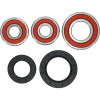 Pivot Works Kawasaki Wheel Bearing Kit Premium Bearings - 25-1284-P Photo - Primary