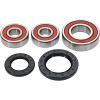 Pivot Works Kawasaki Wheel Bearing Kit Premium Bearings - 25-1284-P Photo - Primary