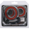 Pivot Works Kawasaki Wheel Bearing Kit Premium Bearings - 25-1285-P Photo - Primary