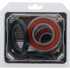 Pivot Works Kawasaki Wheel Bearing Kit Premium Bearings - 25-1286-P Photo - Primary