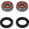 Pivot Works Honda Wheel Bearing Kit Premium Bearings - 25-1300-P Photo - Primary