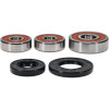 Pivot Works Honda Wheel Bearing Kit Premium Bearings - 25-1304-P Photo - Primary
