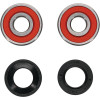 Pivot Works Honda, Suzuki Wheel Bearing Kit Premium Bearings - 25-1306-P Photo - Primary