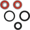 Pivot Works Honda Wheel Bearing Kit Premium Bearings - 25-1307-P Photo - Primary