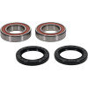 Pivot Works Eton, Yamaha Wheel Bearing Kit Premium Bearings - 25-1315-P Photo - Primary