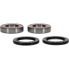Pivot Works Polaris Wheel Bearing Kit Premium Bearings - 25-1321-P Photo - Primary
