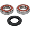 Pivot Works Polaris Wheel Bearing Kit Premium Bearings - 25-1322-P Photo - Primary