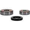 Pivot Works Suzuki Wheel Bearing Kit Premium Bearings - 25-1326-P Photo - Primary
