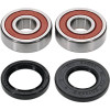 Pivot Works Honda, Kawasaki, Yamaha Wheel Bearing Kit Premium Bearings - 25-1330-P Photo - Primary
