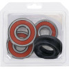 Pivot Works Yamaha Wheel Bearing Kit Premium Bearings - 25-1340-P Photo - Primary