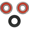 Pivot Works Kawasaki, Suzuki Wheel Bearing Kit Premium Bearings - 25-1353-P Photo - Primary