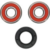 Pivot Works Indian Wheel Bearing Kit Premium Bearings - 25-1354-P Photo - Primary