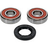 Pivot Works Indian Wheel Bearing Kit Premium Bearings - 25-1354-P Photo - Primary