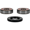 Pivot Works Indian Wheel Bearing Kit Premium Bearings - 25-1354-P Photo - Primary
