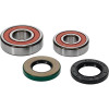 Pivot Works Yamaha Wheel Bearing Kit Premium Bearings - 25-1356-P Photo - Primary