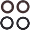 Pivot Works Gas-Gas, Rieju, Suzuki Wheel Bearing Kit Premium Bearings - 25-1364-P Photo - Primary