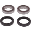 Pivot Works Gas-Gas, Rieju, Suzuki Wheel Bearing Kit Premium Bearings - 25-1364-P Photo - Primary