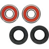 Pivot Works Honda, Indian, Kawasaki, Suzuki, Victory Wheel Bearing Kit Premium Bearings - 25-1382-P Photo - Primary