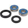 Pivot Works Kawasaki Wheel Bearing Kit Premium Bearings - 25-1384-P Photo - Primary