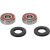 Pivot Works Honda, Kawasaki, Suzuki Wheel Bearing Kit Premium Bearings - 25-1387-P Photo - Primary