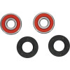 Pivot Works Honda, Kawasaki, Suzuki Wheel Bearing Kit Premium Bearings - 25-1387-P Photo - Primary