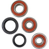 Pivot Works Kawasaki Wheel Bearing Kit Premium Bearings - 25-1388-P Photo - Primary