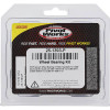 Pivot Works Kawasaki, Suzuki Wheel Bearing Kit Premium Bearings - 25-1393-P Photo - Primary