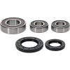 Pivot Works Kawasaki, Suzuki Wheel Bearing Kit Premium Bearings - 25-1393-P Photo - Primary