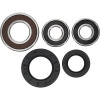 Pivot Works Kawasaki, Suzuki Wheel Bearing Kit Premium Bearings - 25-1393-P Photo - Primary